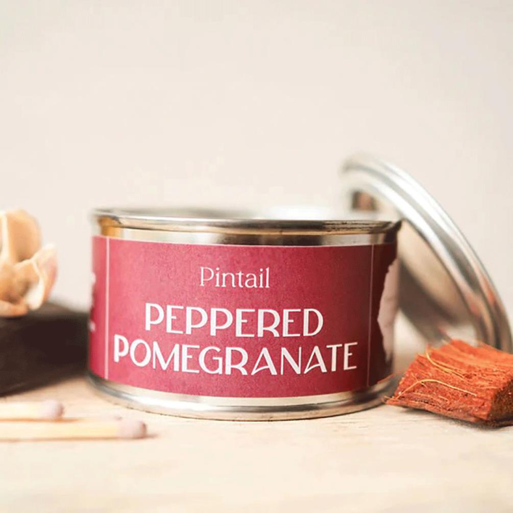 Pintail Candles Peppered Pomegranate Paint Pot Candle Extra Image 1